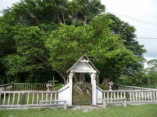 Tambak Hügelgrab Benjaminus Ficus