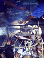 Erstes Jahr 2001-2002