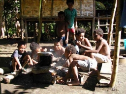 Erstes Jahr 2001-2002