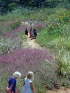 Erstes Jahr 2001-2002