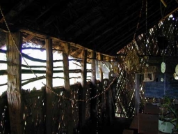 Erstes Jahr 2001-2002