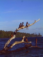 Erstes Jahr 2001-2002