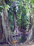 Erstes Jahr 2001-2002