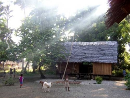 Erstes Jahr 2001-2002