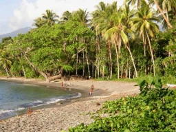 Erstes Jahr 2001-2002