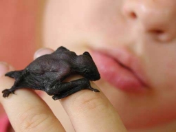 Das zweite Jahr 2003