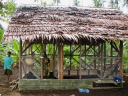 Das zweite Jahr 2003