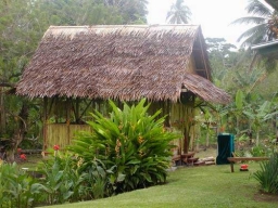 Das zweite Jahr 2003