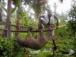 Das zweite Jahr 2003