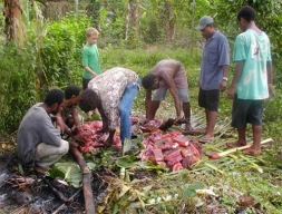 Das zweite Jahr 2003