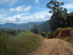 Das zweite Jahr 2003