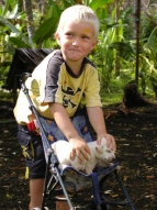 Das zweite Jahr 2003