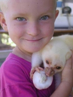 Das zweite Jahr 2003