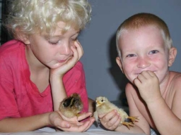 Das zweite Jahr 2003