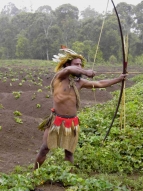 Das dritte Jahr 2004