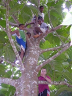 Das dritte Jahr 2004