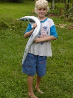 Das dritte Jahr 2004