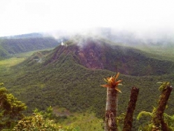 Das letzte Jahr 2005