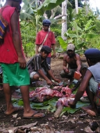 Das letzte Jahr 2005