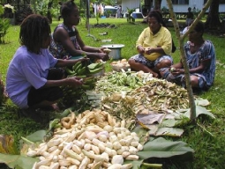 Das letzte Jahr 2005