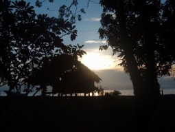 Das letzte Jahr 2005