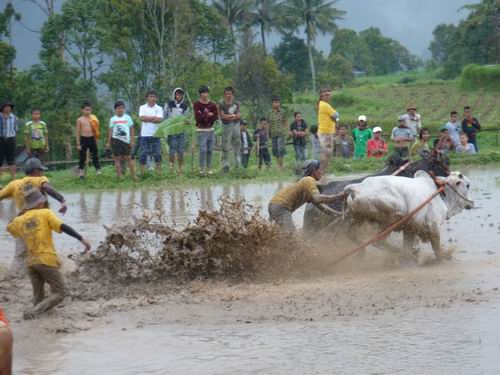 Auf dem Pflug reiten