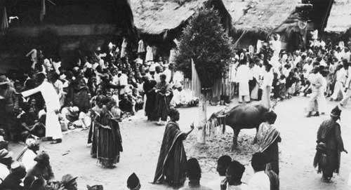 Tanz der Batak um den Borotan