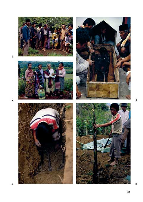 Sekundärbestattung Toba Leichen