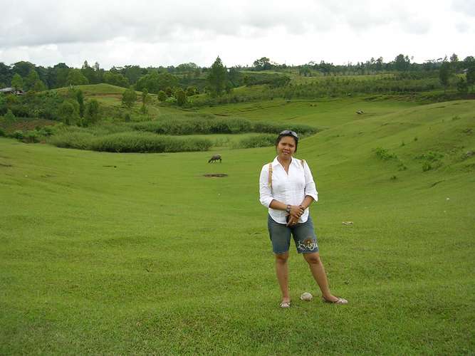 Büffelweide Büffelweide