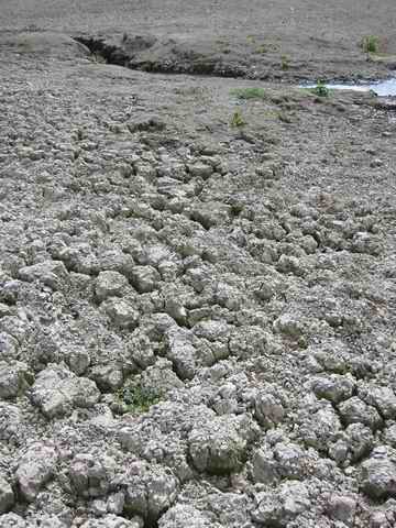 Lehm mit Rissen Lehm mit Rissen