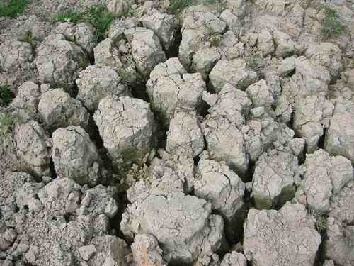 Seegrund Trockener Grund vom Sidihoni See