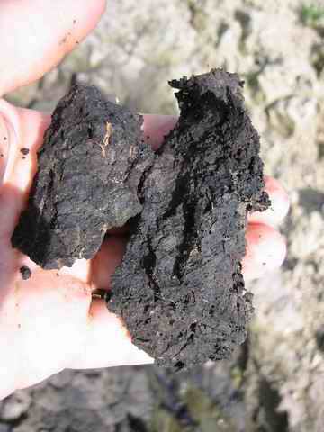 Torf Torf Danau Sidihoni