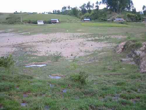 Büffelgras auf Lehm Sidihoni-See Büffelgras auf Lehm Sidihoni-See