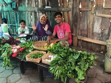 Gemüse für den Markt